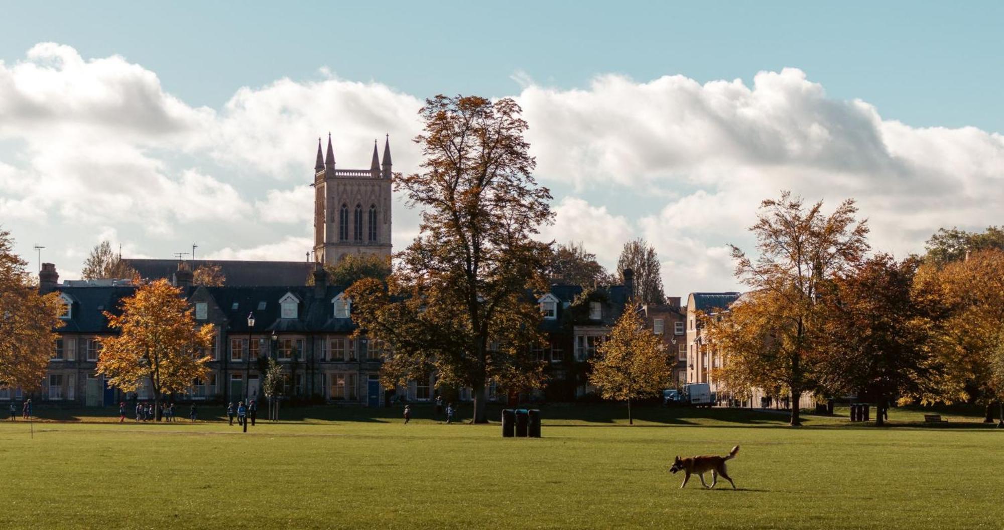 Cambridge Stays - Apartment At Addenbrooke Hospital And Bio Campus - Free Private Parking Zewnętrze zdjęcie